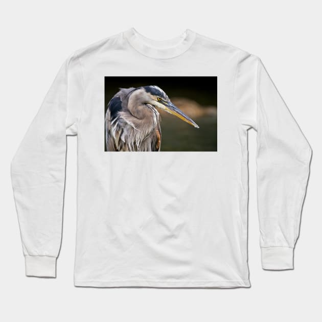 Blue Heron Long Sleeve T-Shirt by jaydee1400